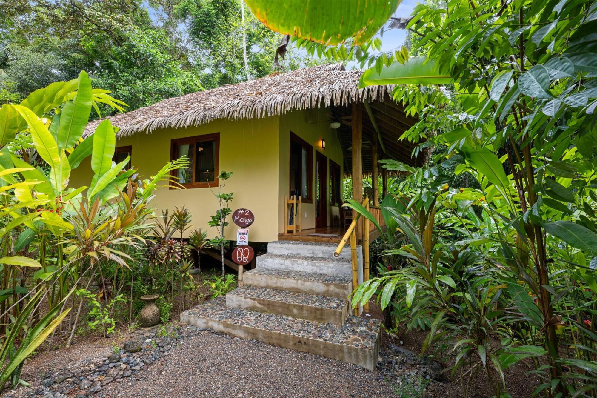 Copa De Arbol Beach & Rainforest Resort Drakes Bay Exterior foto