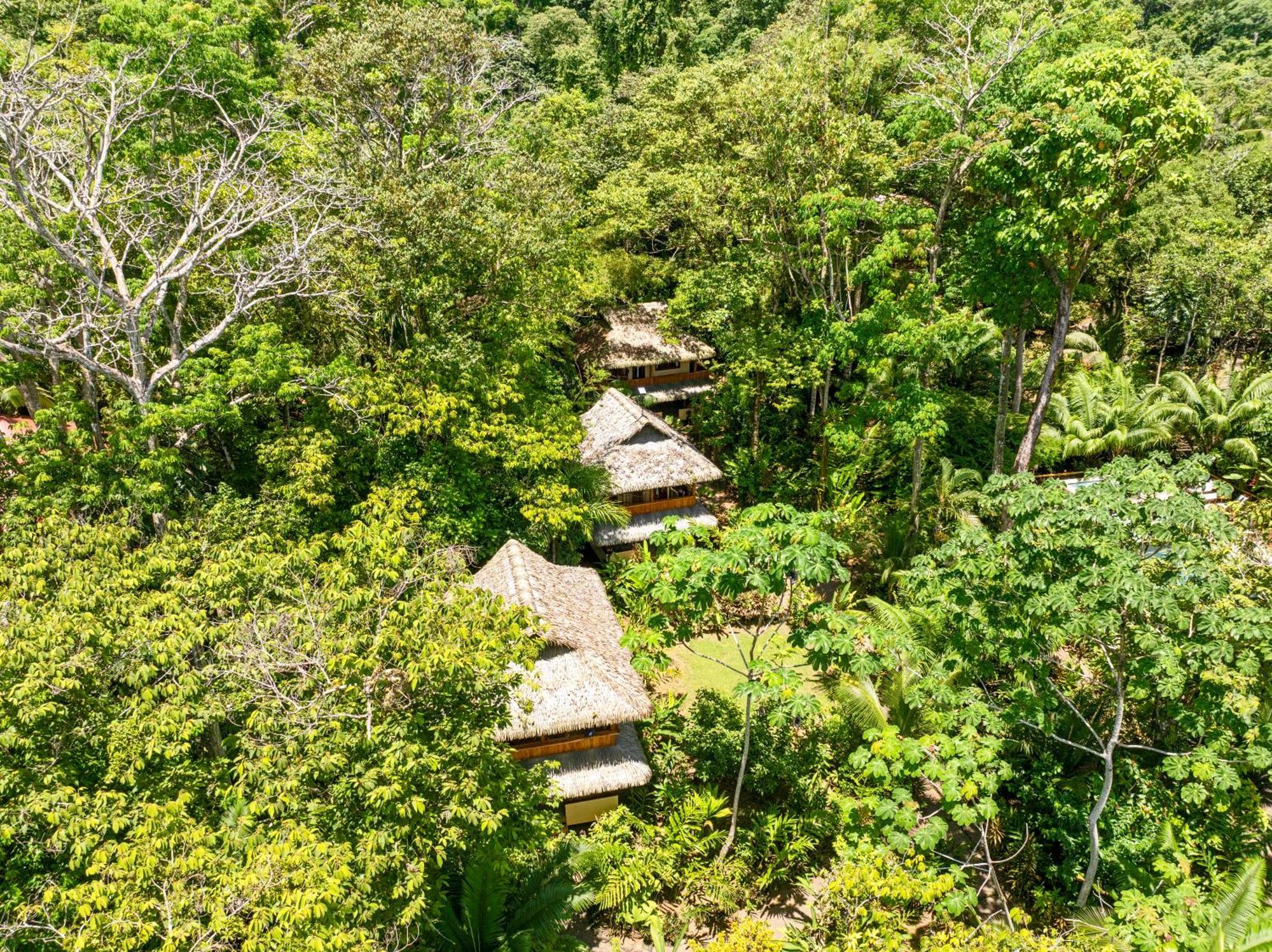 Copa De Arbol Beach & Rainforest Resort Drakes Bay Exterior foto