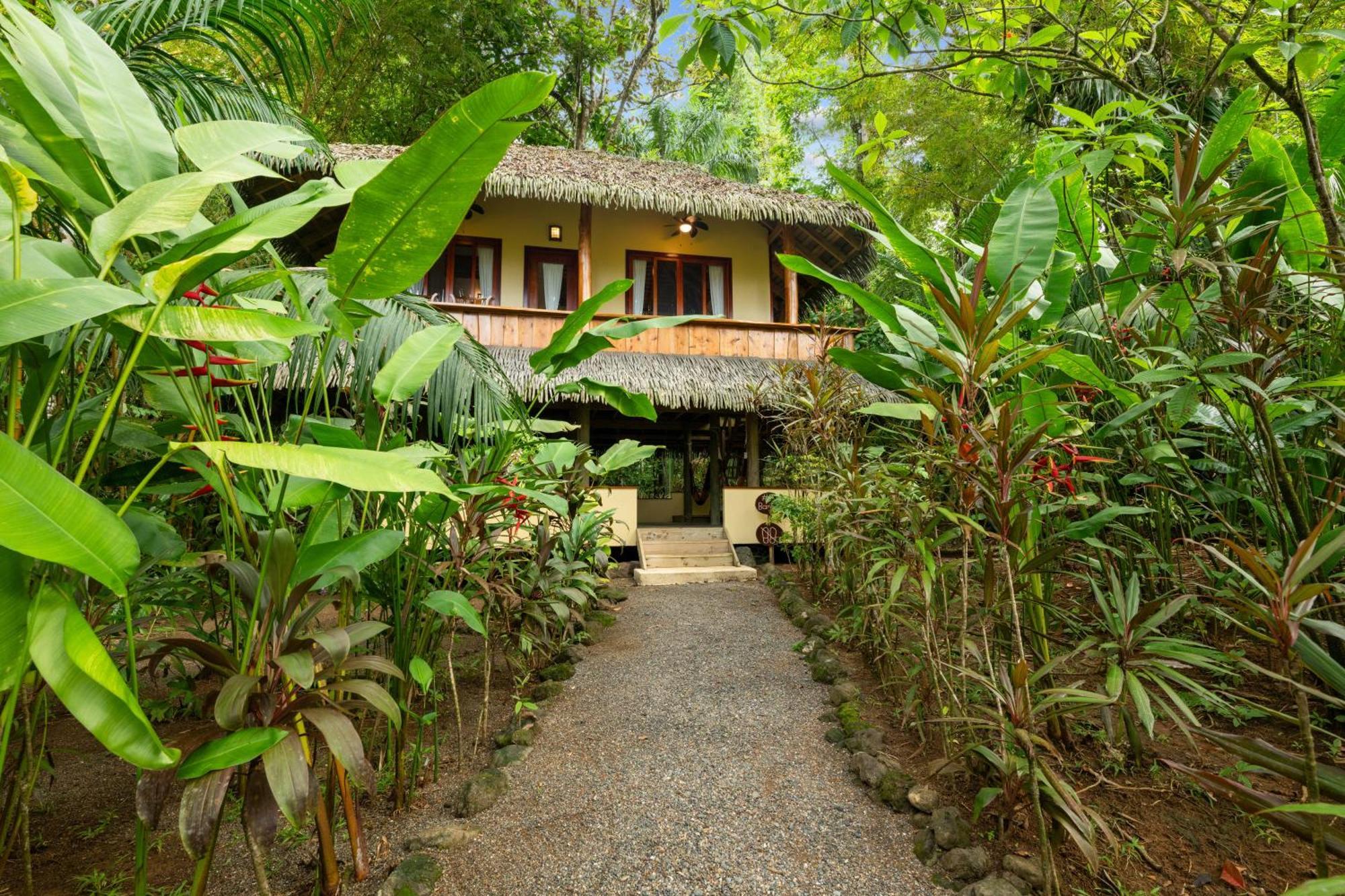 Copa De Arbol Beach & Rainforest Resort Drakes Bay Zimmer foto