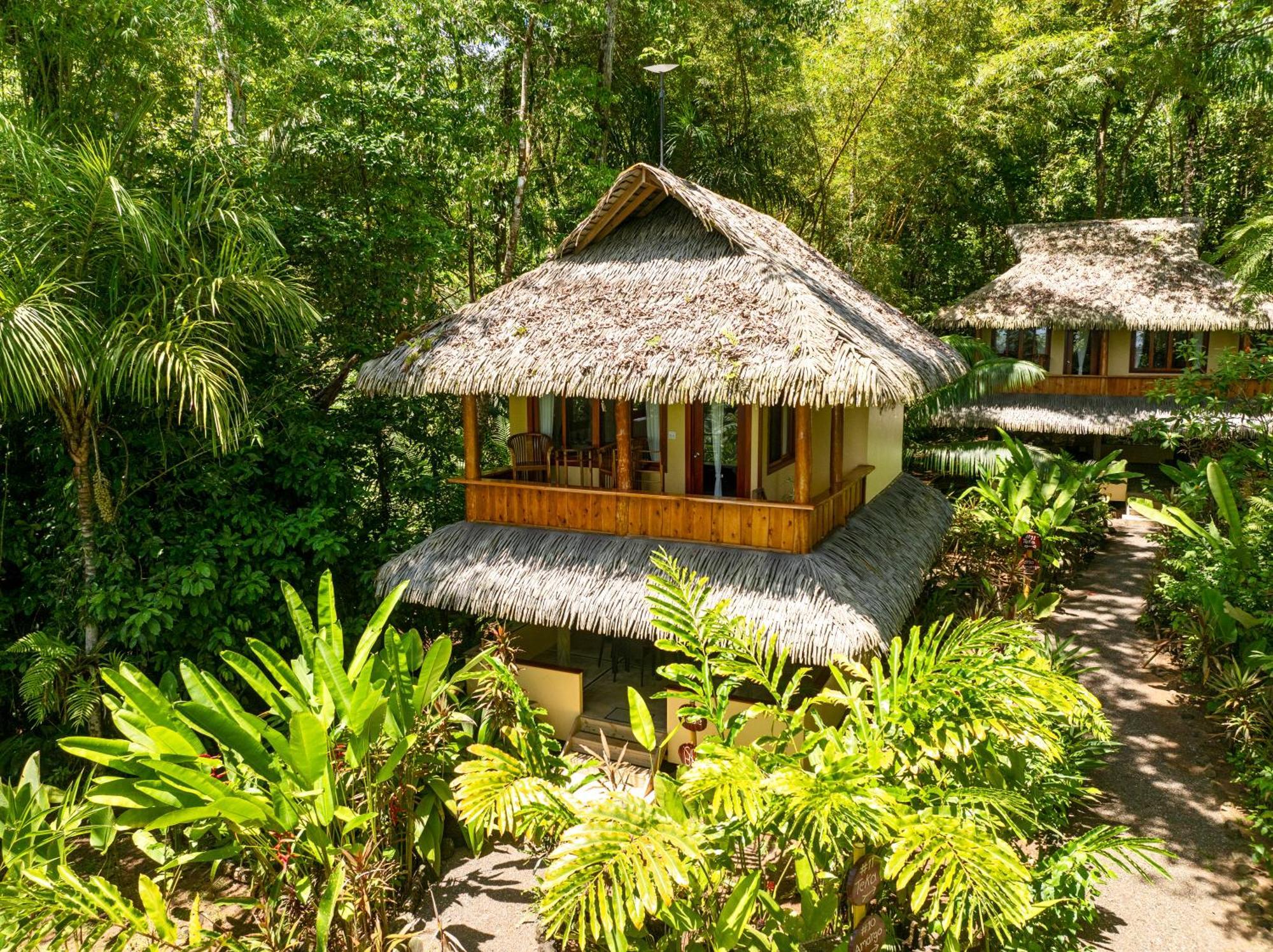 Copa De Arbol Beach & Rainforest Resort Drakes Bay Exterior foto