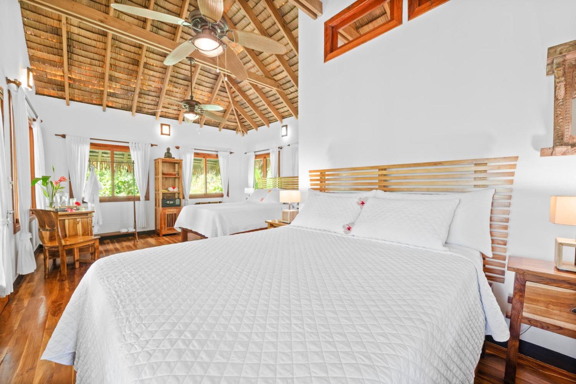 Copa De Arbol Beach & Rainforest Resort Drakes Bay Zimmer foto