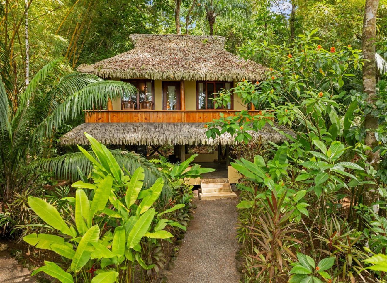 Copa De Arbol Beach & Rainforest Resort Drakes Bay Exterior foto
