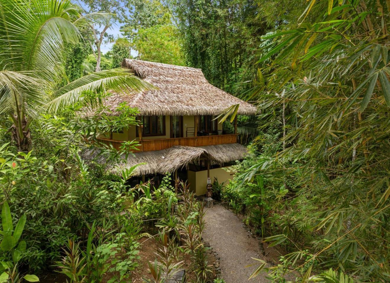 Copa De Arbol Beach & Rainforest Resort Drakes Bay Exterior foto